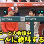 絶叫する大谷！オホッピーと楽しく会話してたらダグアウトにファールが！【現地映像】エンゼルスvsマリナーズ第3戦