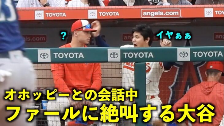 絶叫する大谷！オホッピーと楽しく会話してたらダグアウトにファールが！【現地映像】エンゼルスvsマリナーズ第3戦