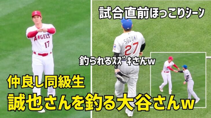 仲良し同級生 誠也さんを釣って呼ぶ大谷さんw  試合前に見た仲良し笑顔  エンゼルス Angels  大谷翔平 Shohei Ohtani 現地映像