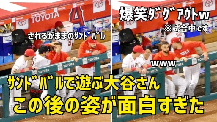 爆笑ダグアウト サンドバルで遊ぶ大谷さんが面白すぎたw  エンゼルス Angels  大谷翔平 Shohei Ohtani 現地映像