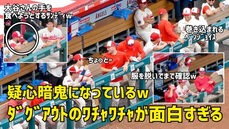 大谷さんも疑心暗鬼になってるw ダグアウトのワチャワチャが面白すぎる　エンゼルス Angels  大谷翔平 Shohei Ohtani 現地映像