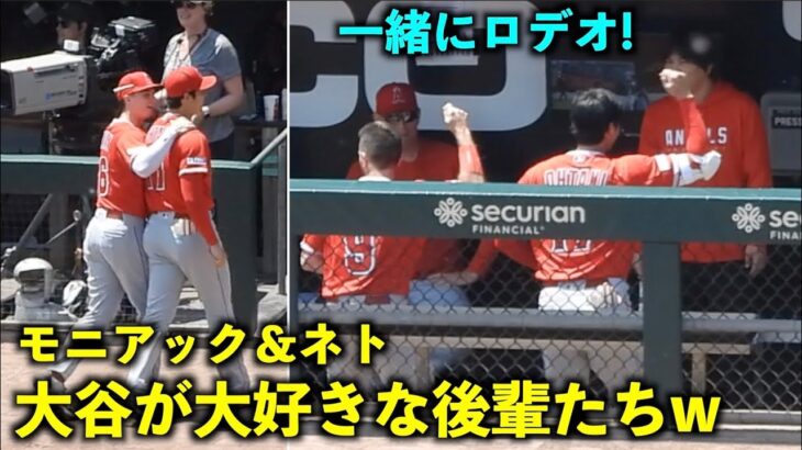 大谷が大好きな後輩たち！肩揉みモニアックとロデオを楽しむネトw 【現地映像】エンゼルスvsホワイトソックス第3戦6/1