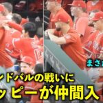 まさかの仲間入りw 大谷翔平とサンドバルのやり合いに遂にオホッピーも参戦w 【現地映像】エンゼルスvsレンジャーズ第３戦6/15