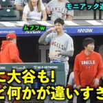 オモロすぎw ついに大谷翔平も鼻のやつをする時が！だけど何かが違ったw【現地映像】エンゼルスvsロッキーズ第２戦6/25