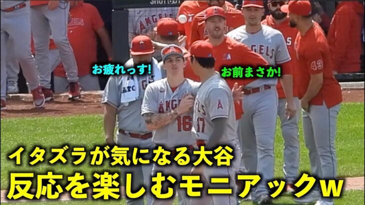 イタズラが気になって仕方ない大谷の背中を触って反応を楽しむモニアックw【現地映像】エンゼルスvsロイヤルズ第３戦6/19