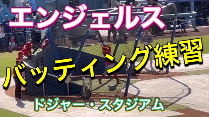 エンジェルス・バッティング練習！@ドジャースタジアム【1番DH・大谷翔平選手】対ロサンゼルス・ドジャース第2戦@ドジャー・スタジアム7/8/2023 #大谷翔平  #ohtani  #エンジェルス