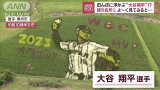 田んぼに浮かぶ“大谷翔平”！？　観光名所に　よ～く見てみると…(2023年7月5日)