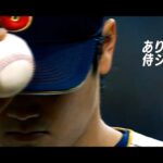 2023WBC日本代表ハイライト