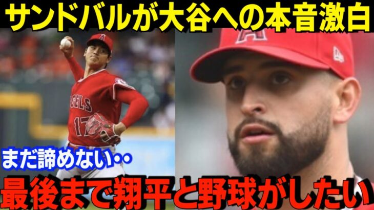 ダブルヘッダーで完封と2本塁打と暴れまくりの大谷翔平。第2試合で６勝目を挙げたサンドバルが漏らした本音に感激！「ショウのやったことは・・」タイガースをスイープし勢いに乗るエンゼルスに全米が大興奮！