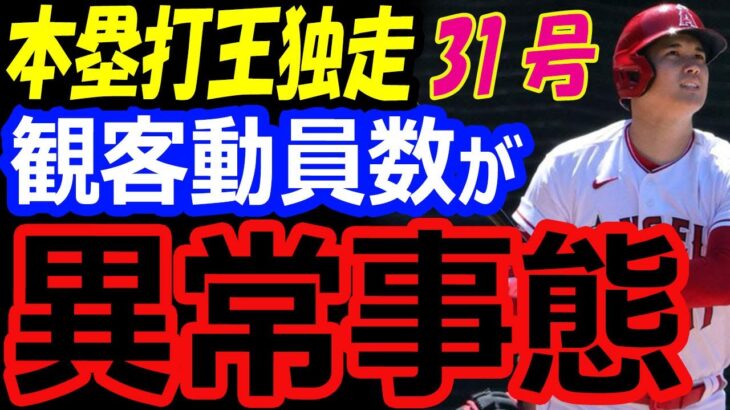 【異常事態】大谷翔平の活躍でエンゼルス観客動員数が2500人増！31号ホームランで本塁打王独走！オールスター2023での二刀流先発は？