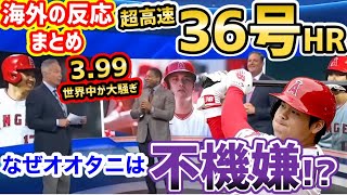 【海外の反応】大谷翔平、3.99秒の衝撃36号ホームランに世界中がお騒ぎ「美しいスイング、美しい音、美しいHR。俺、これで夜ご飯いらない」