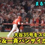 大谷翔平 35号同点2ランをスロー再生したら雄叫びガッツポーズと観客の一斉バンザイが最高すぎた！【現地映像】エンゼルスvsヤンキース第１戦7/18