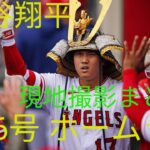 【大谷翔平⠀】  36号 ‼️ホームラン 現地撮影 映像まとめ 2023 7 24