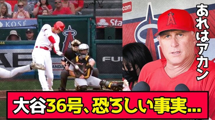 大谷36号に、またも恐ろしい事実が発覚