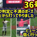 36号‼️ 前日のイライラを吹き飛ばす流れを変えた同点弾【現地映像】7/23vsパイレーツ ShoheiOhtani Homerun Angels