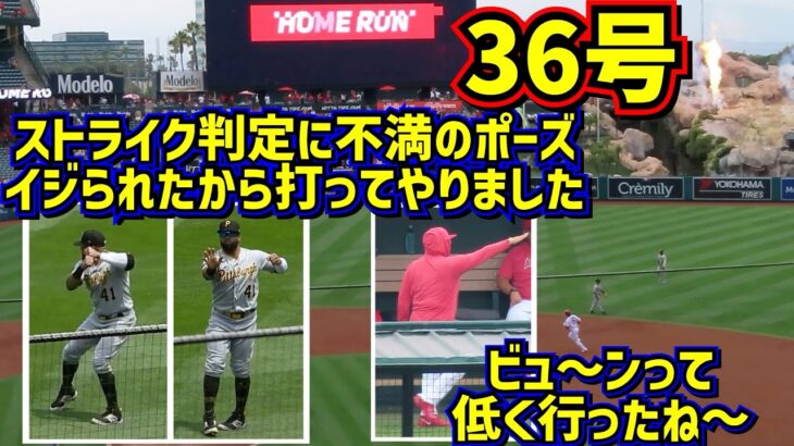 36号‼️ 前日のイライラを吹き飛ばす流れを変えた同点弾【現地映像】7/23vsパイレーツ ShoheiOhtani Homerun Angels