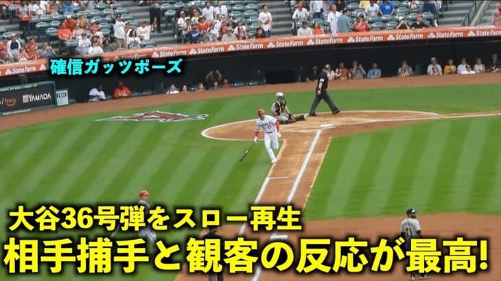 大谷翔平36号HRをスロー再生したらガックリの相手キャッチャーと確信ガッツポーズの観客が最高すぎた！【現地映像】エンゼルスvsパイレーツ第３戦7/24