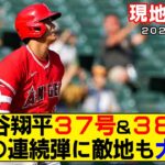 【現地映像まとめ】大谷翔平の37号＆38号ホームラン！初完封から衝撃の2打席連続弾に敵地も大歓声！【エンゼルスvsタイガース】