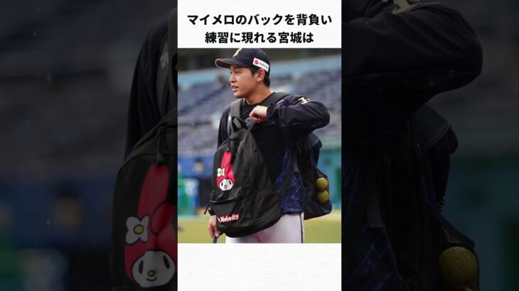 マイメロ住職宮城大弥の面白エピソード3選#wbc #プロ野球#オリックス