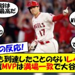 【海外の反応】「今後5年は大谷がMVP」米のあらゆるメディアがMLB前半戦MVPに大谷を選出！「MLB史上最高の月成績」とも言われる6月の大爆発を中心に前半戦の大谷を振り返る