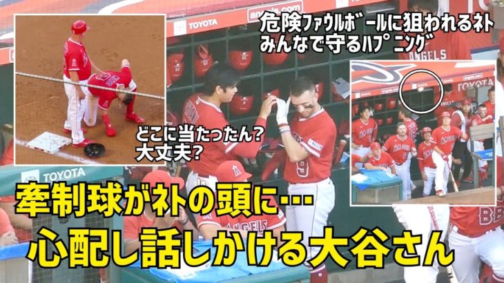 危険な牽制球がネトの頭に直撃 心配し話しかける大谷さん その後またハプニング  現地映像 エンゼルス Angels 大谷翔平 Shohei Ohtani