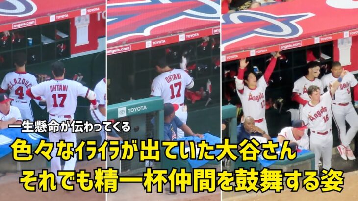 色々なイライラが出ていた大谷さん それでも精一杯仲間を鼓舞する姿  現地映像 エンゼルス Angels 大谷翔平 Shohei Ohtani