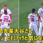 慕われる先輩 大谷さん キャベッジとモニアックと気になる会話  現地映像 エンゼルス Angels 大谷翔平 Shohei Ohtani