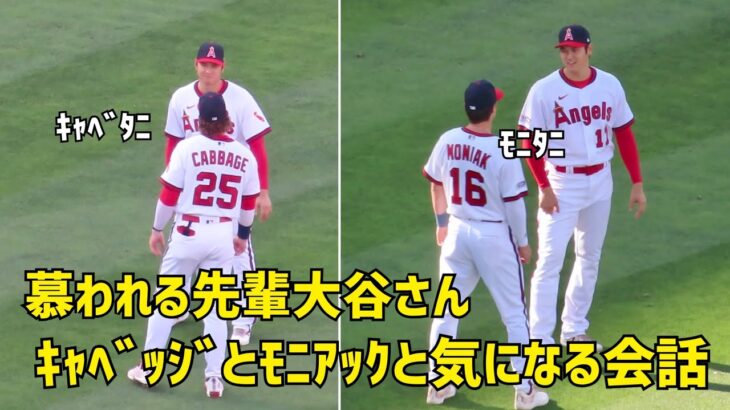 慕われる先輩 大谷さん キャベッジとモニアックと気になる会話  現地映像 エンゼルス Angels 大谷翔平 Shohei Ohtani