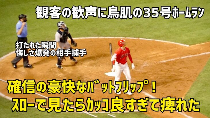 確信のバットフリップをスローで見たらカッコ良すぎて痺れた！ 観客の歓声に鳥肌 大谷選手 ３５号ホームラン！ 現地映像 エンゼルス Angels 大谷翔平 Shohei Ohtani