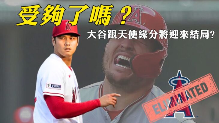 不要再拒絕交易大谷了！談天使交易大限前操盤路線｜生啤C五度