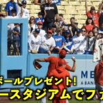 CB後にボールプレゼント！大谷翔平 ドジャースタジアムでファンサービス！【現地映像】エンゼルスvsドジャース第2戦7/9