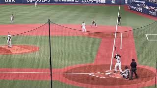 【大谷翔平膝付きHR】阪神　対　日本代表　WBC