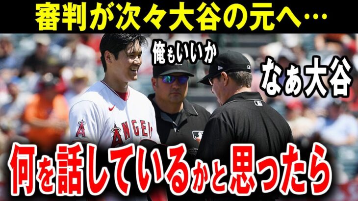 【大谷翔平】ありえないシーンの連続！大谷翔平がMLB審判たちに慕われすぎている【海外の反応】