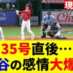 ここまでの姿は珍しい！感情を爆発させた大谷がヤバすぎた！【大谷翔平】【ホームラン】【MLB】Shohei Ohtani