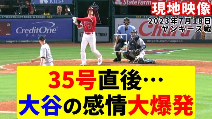 ここまでの姿は珍しい！感情を爆発させた大谷がヤバすぎた！【大谷翔平】【ホームラン】【MLB】Shohei Ohtani