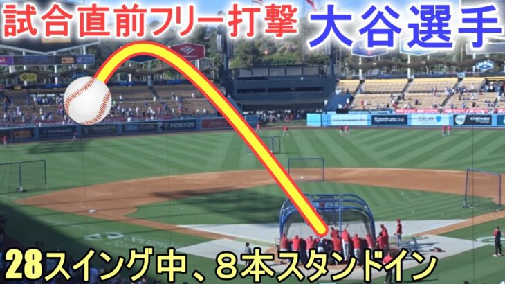 試合直前フリー打撃【大谷翔平選手】対ロサンジェルス・ドジャース～シリーズ初戦～Shohei  Ohtani vs Angels 2023