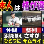 WBCで海外が大絶賛した日本人のスポーツ常識７選【ゆっくり解説】