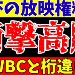 【サッカー日本代表】女子サッカーの放映権は適切なのか?男子ワールドカップとWBCを初放送から比較したらヤバすぎた…【ゆっくりサッカー解説】