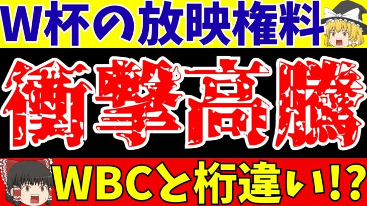 【サッカー日本代表】女子サッカーの放映権は適切なのか?男子ワールドカップとWBCを初放送から比較したらヤバすぎた…【ゆっくりサッカー解説】