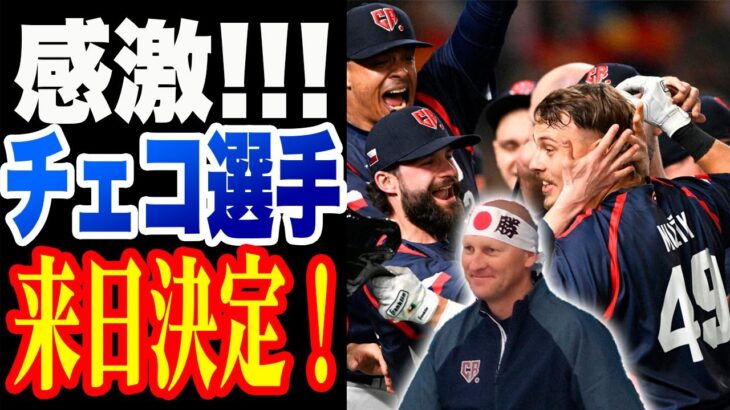 【感激】チェコの選手、来日決定！粋なはからいにハジム監督や選手たちが感激！！WBCのエピソードや選手たちのコメントなどまとめ【チェコ代表/千葉ロッテマリーンズ】