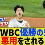 大谷WBC優勝のシーン、悪質な切り取り方をされてしまう・・【なんJ なんG野球反応】【2ch 5ch】