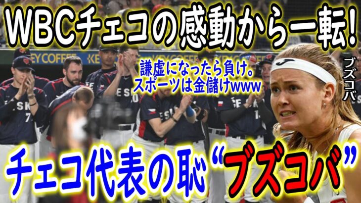 【海外の反応】WBCの感動から一転し、ブズコバがチェコ代表の大恥に！「僕らは不思議の国のアリスだった」WBCチェコ代表の“夢のような日本での体験”を現地メディアはこう伝えた　【ゆっくり解説】