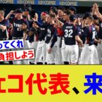 WBCチェコ代表、来日www【なんJ なんG野球反応】【2ch 5ch】