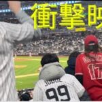 ヤンキースファンの大谷翔平への野次がひどすぎる！【観覧注意】 Yankees fans boo Shohei Ohtani