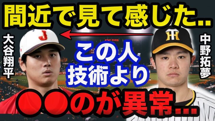 大谷翔平を間近で見た阪神.中野拓夢が激白した衝撃の本音に一同驚愕【侍ジャパン】