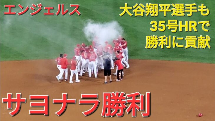 マイケル・ステファニック選手のサヨナラタイムリーで勝利ｰ大谷翔平選手の同点ツーランホームランも勝利に貢献