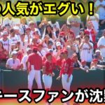 ヤンキースファンが沈黙！大谷の人気がエグ過ぎた！【現地映像】