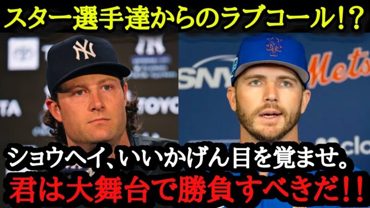 「大谷よ、俺と一緒にプレーしないか」各チームのスーパースターから熱烈オファー！ラブコールが止まらない！【海外の反応】