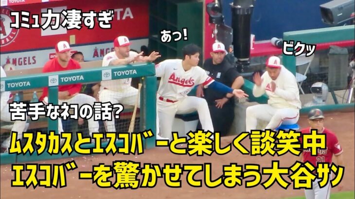 エスコバーを驚かせてしまう大谷さんw  ムスタカスも一緒に新加入２人と楽しそう   コミュ力凄すぎ  現地映像 エンゼルス Angels 大谷翔平 Shohei Ohtani