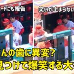 イジる顔が悪すぎるw  一平さんの何かを見つけて爆笑する大谷さん  現地映像 エンゼルス Angels 大谷翔平 Shohei Ohtani